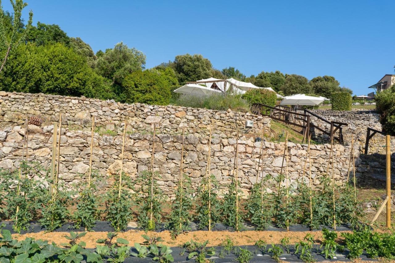 Golfo Dei Poeti Relais & Spa Ameglia Eksteriør bilde
